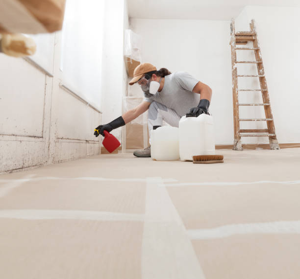 Best Mold Odor Removal Services  in Midway, KY